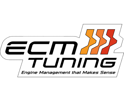 ECM Colored Logo with Gray Scale